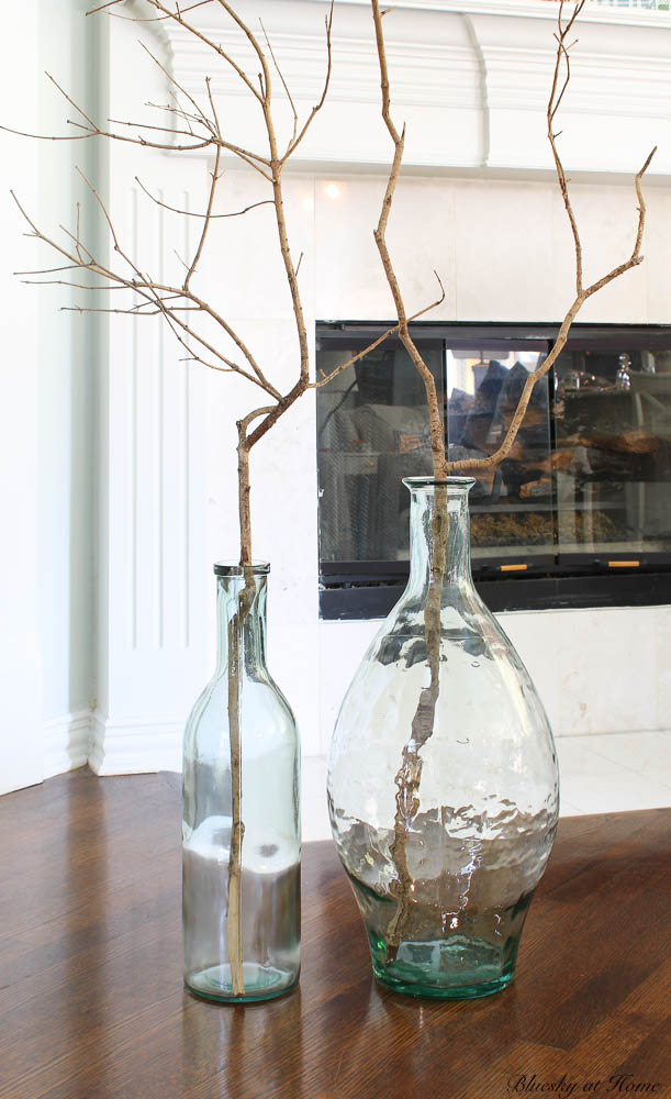 Glass jars with wood branches