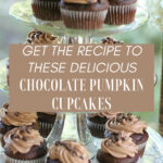 chocolate pumpkin cupcakes with nutella frosting.