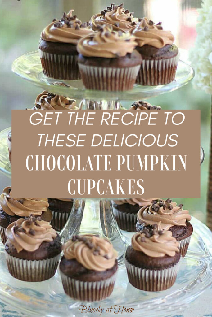 chocolate pumpkin cupcakes with nutella frosting
