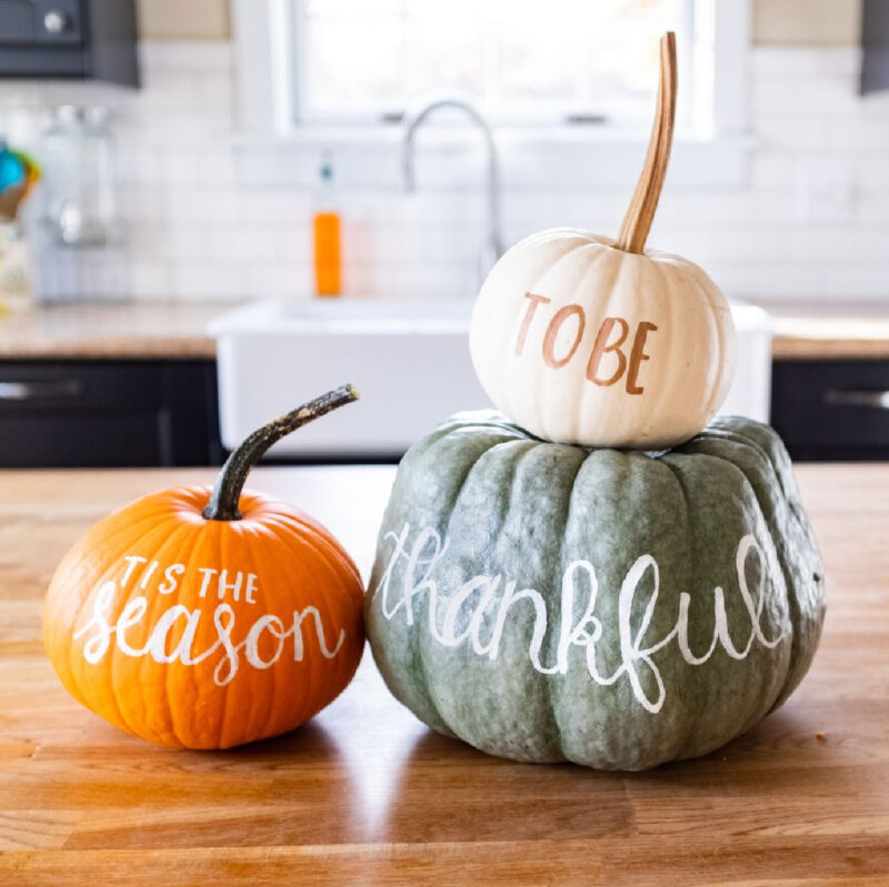 three pumpkins with Thanksgiving sign