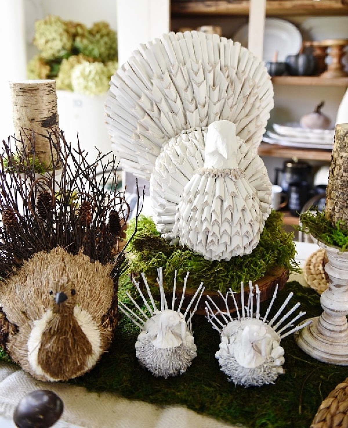 How To Transition From Fall To Thanksgiving Decor Bluesky At Home   White Turkey LizMarieBlog 