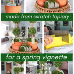 topiary in terracotta pot graphic