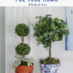 how to make a chinoiserie planter for a topiary graphic