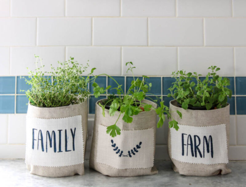 green herbs in fabric-covered planters