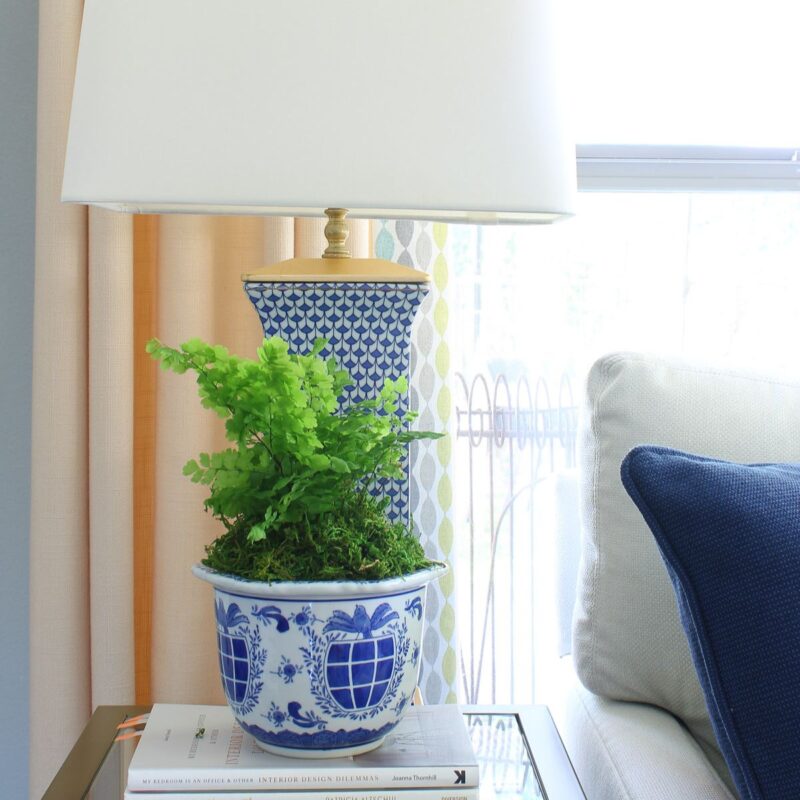 green fern in blue and white plater on table