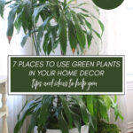 green plants in home decor graphic