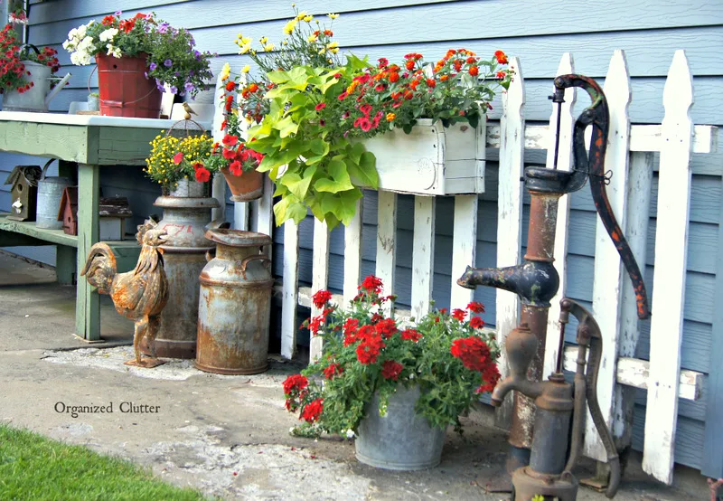 red flowers in containers in backyard with vintage cans