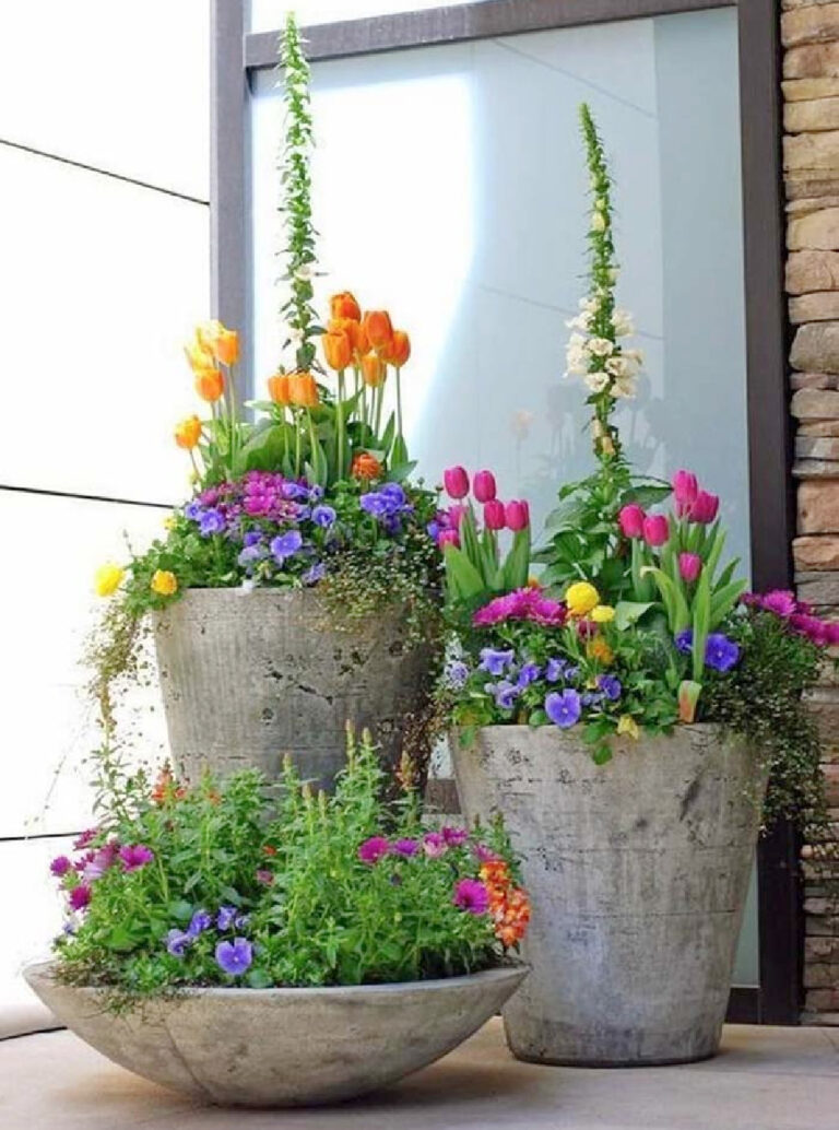three concrete planters with spring flowering plants