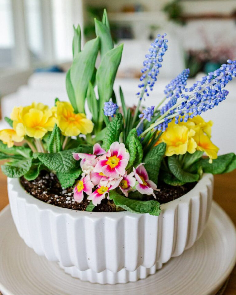 colorful spring flowers in container