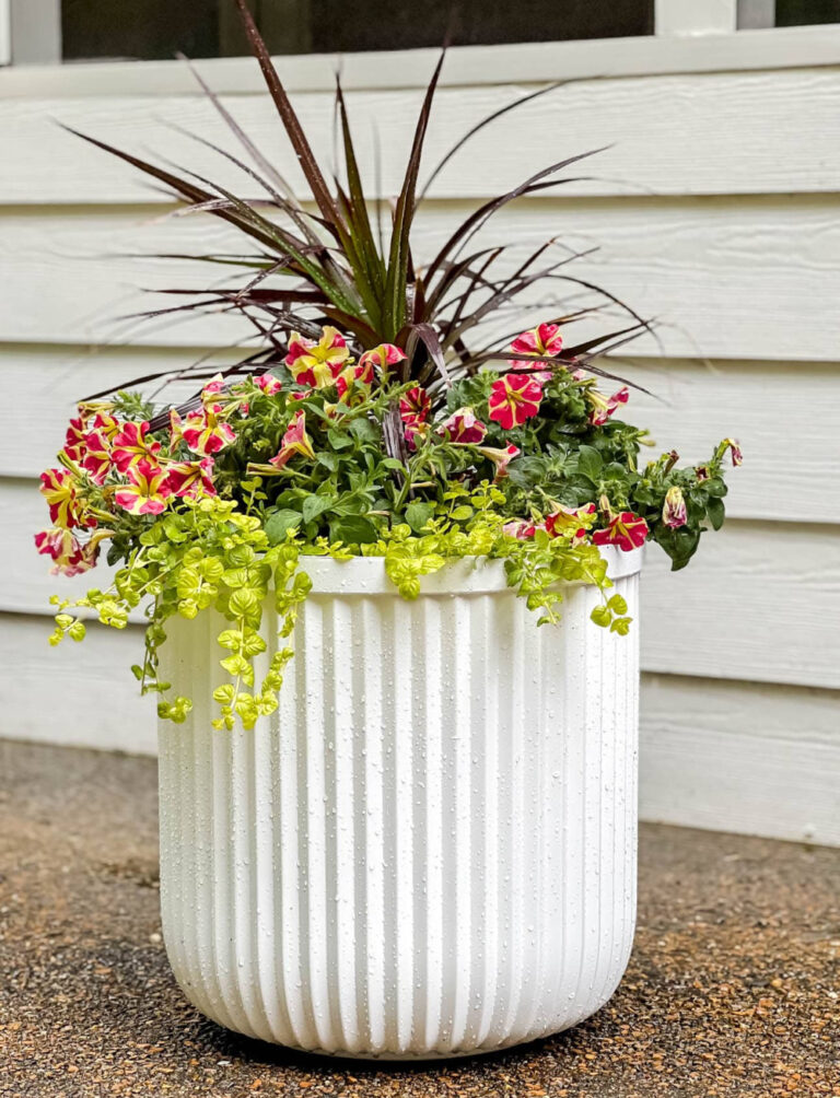 spring flowers in white container