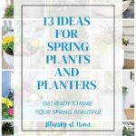 spring plants and planters graphic