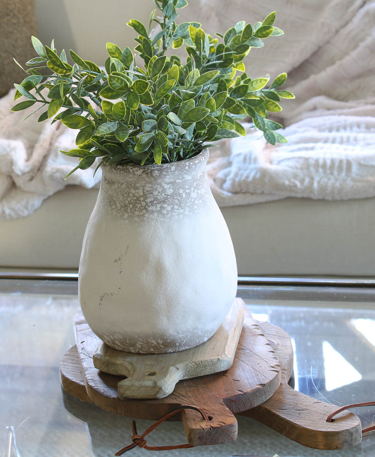 View of Pretty Ways to Use Green Plants in Your Home - Bluesky at Home