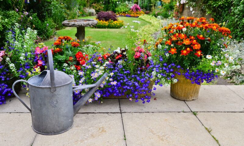 flowers in containers on patio
