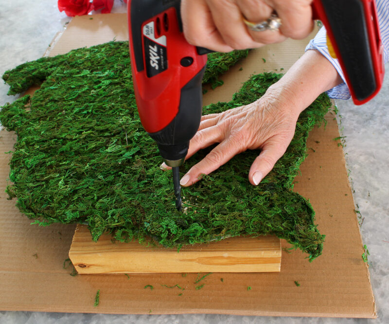 drilling hole in moss-covered horse head