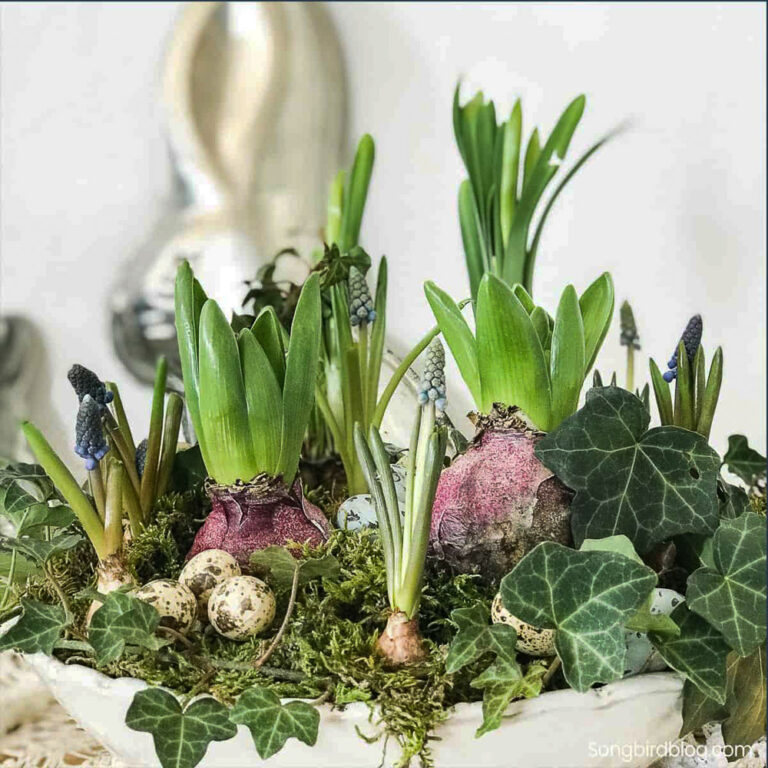 spring floral centerpiece with bulbs, greenery and moss.
