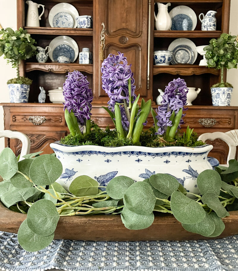 blue hyacinths in blue and white Japanese foot bath on dining room table