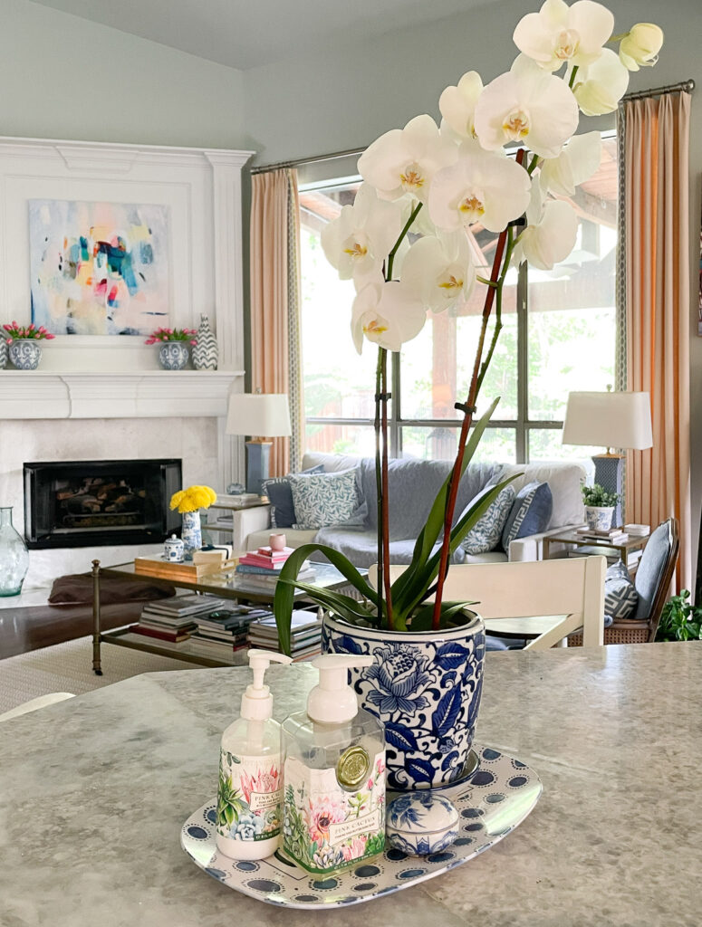 white orchid in blue and white pot on kitchen counter