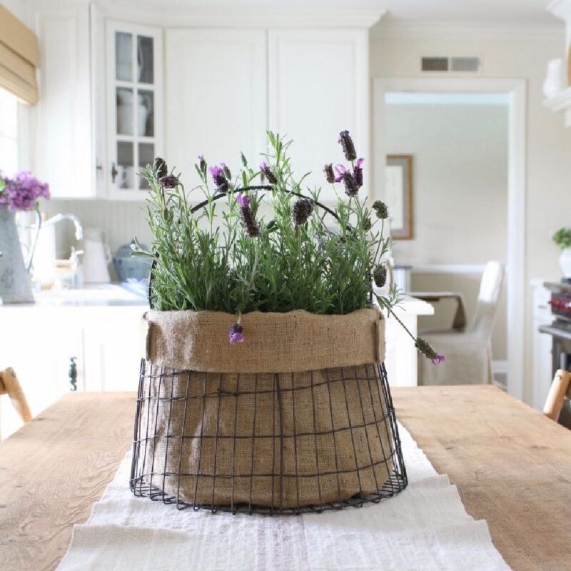 lavender in wire container on white kitchen counter
