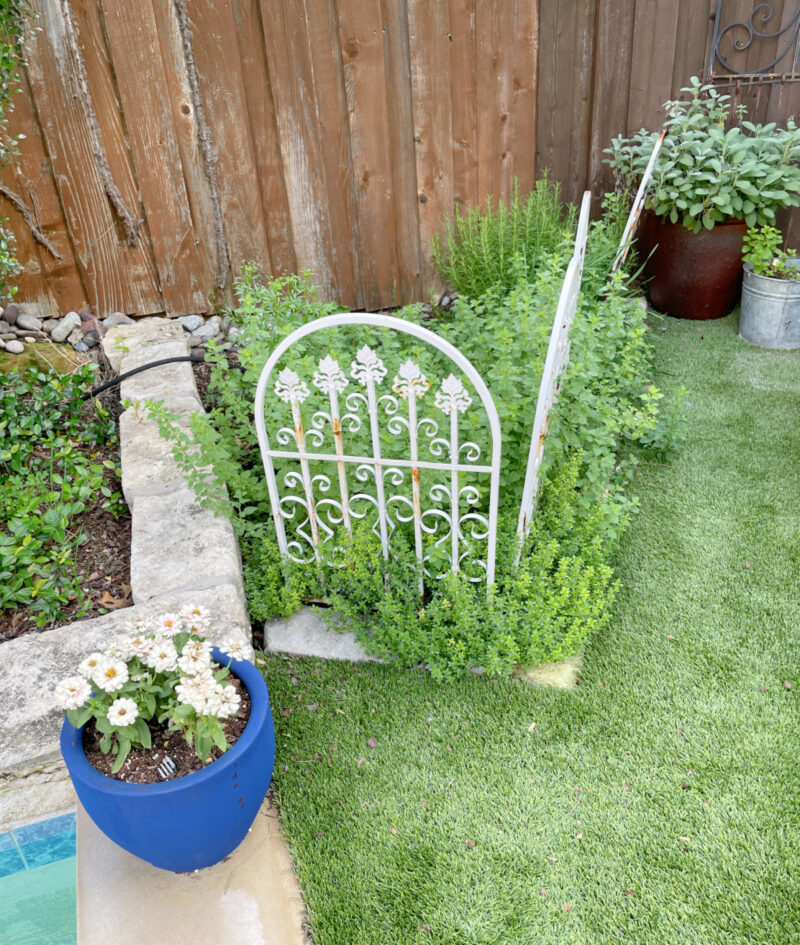 small herb garden with vintage fencing