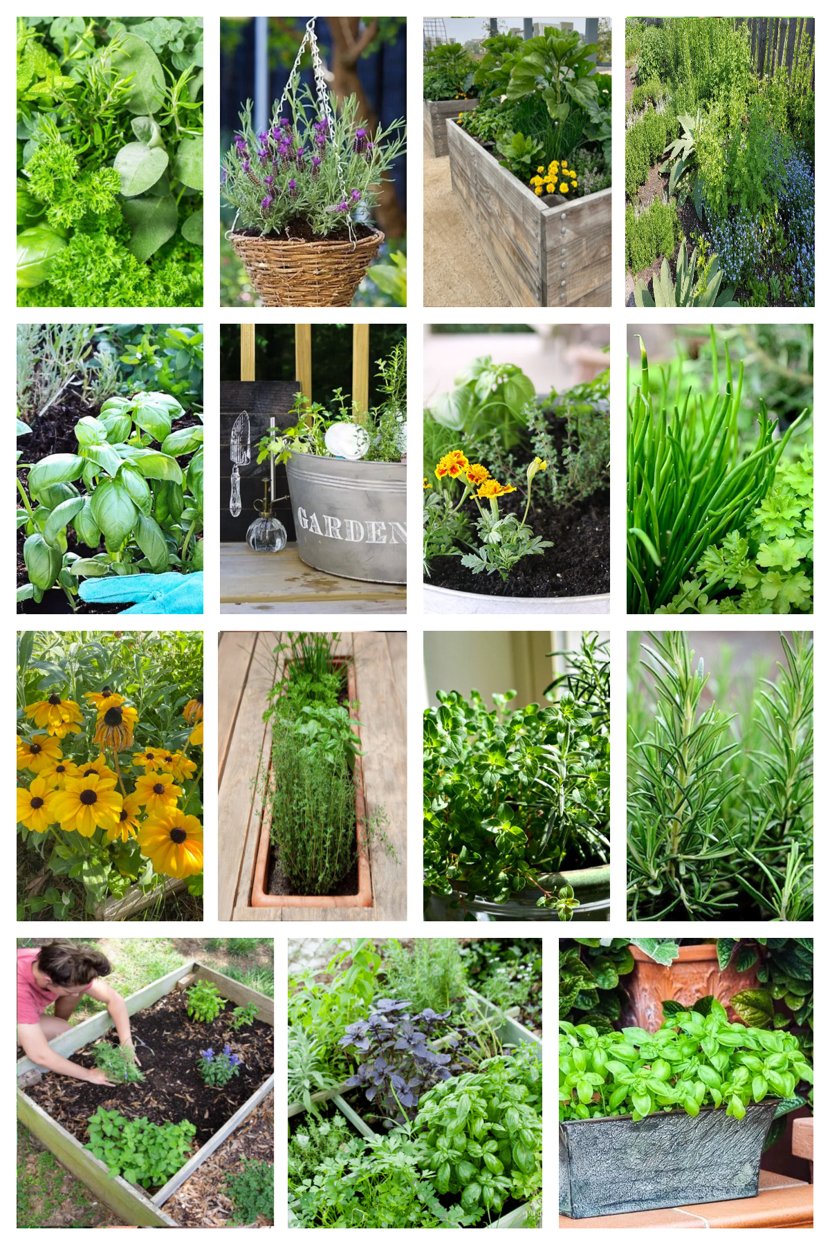 19 DIY Herb Garden Ideas for Beginners and Experts - Bluesky at Home