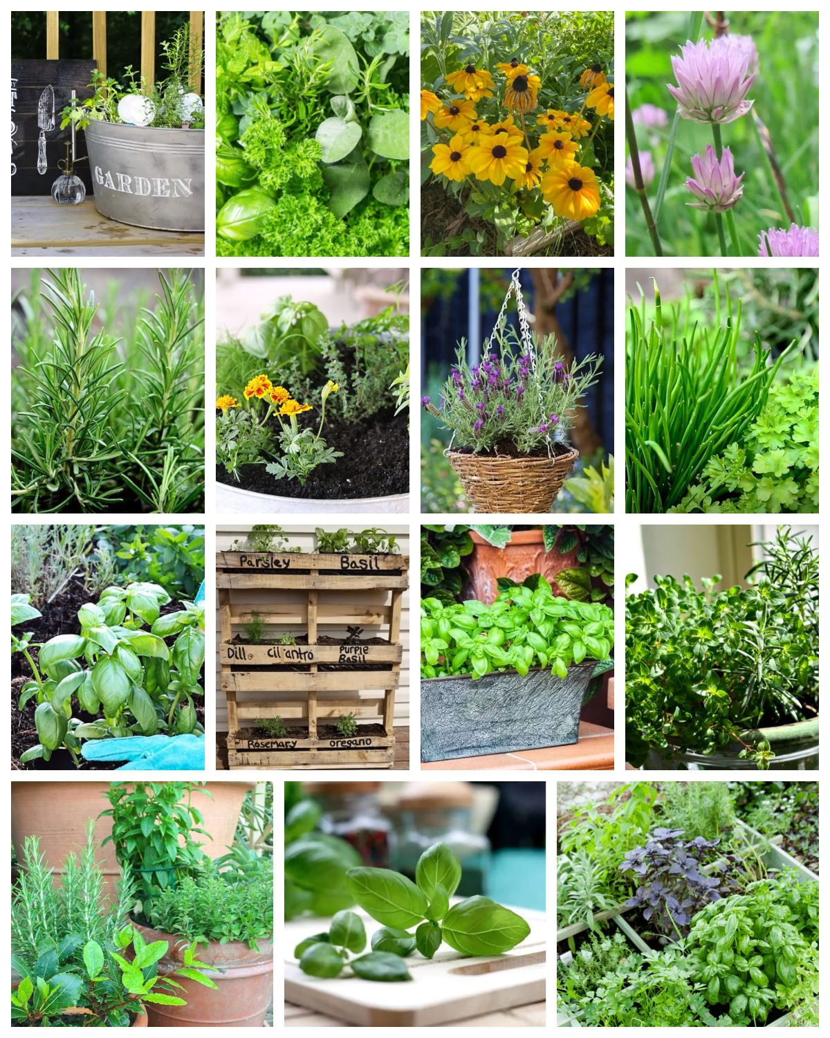 15 DIY Herb Garden Ideas for Beginners and Experts - Bluesky at Home