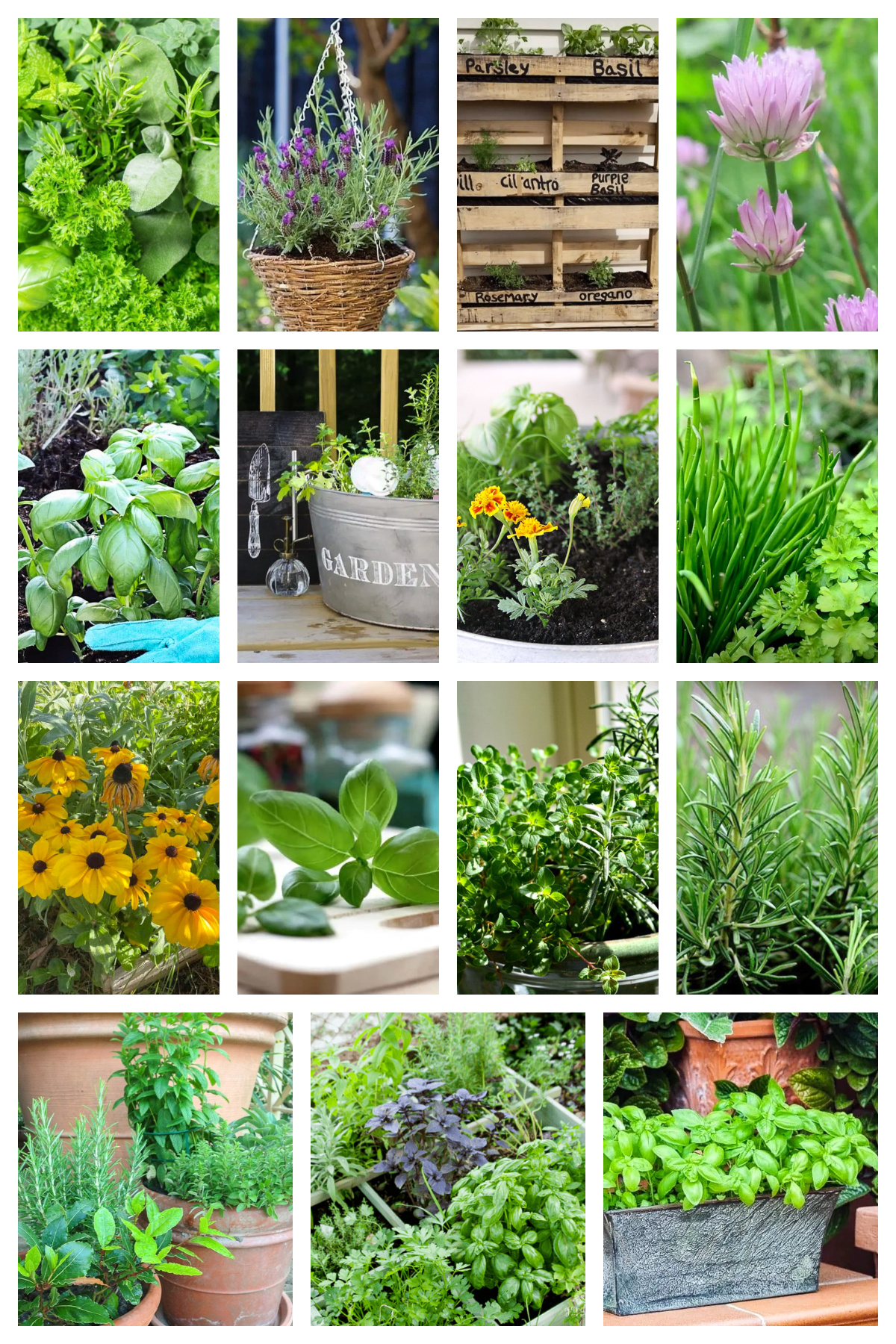 15 DIY Herb Garden Ideas for Beginners and Experts - Bluesky at Home