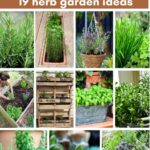 collage of herb garden ideas