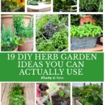 collage of herb garden ideas