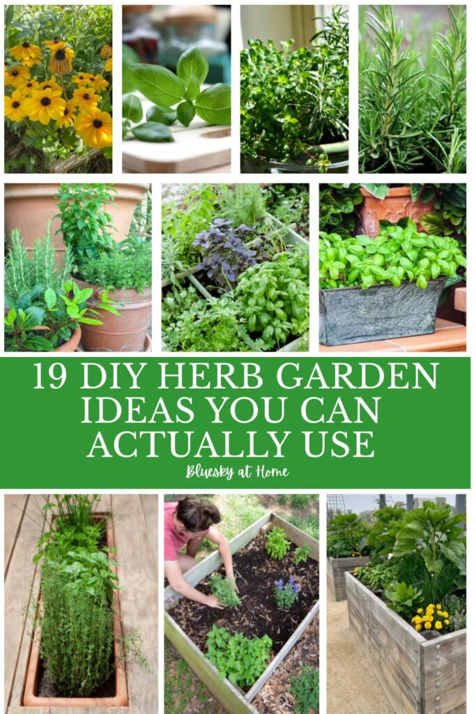 collage of herb garden ideas