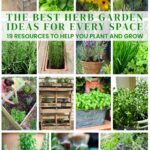 collage of herb garden ideas