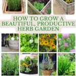 collage of herb garden ideas