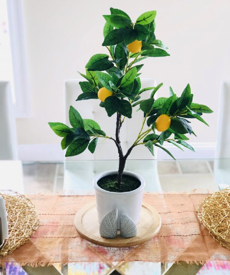 lemon tree on table for summer decor