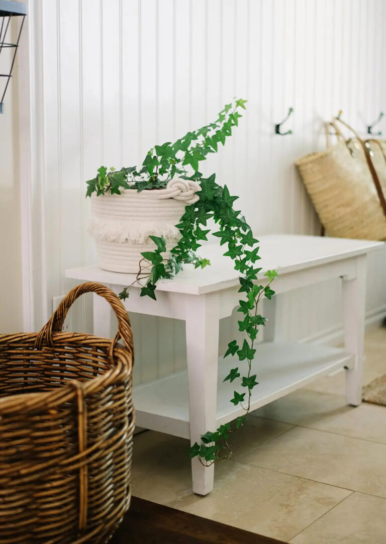 greenery in a white basket on a white cabinet