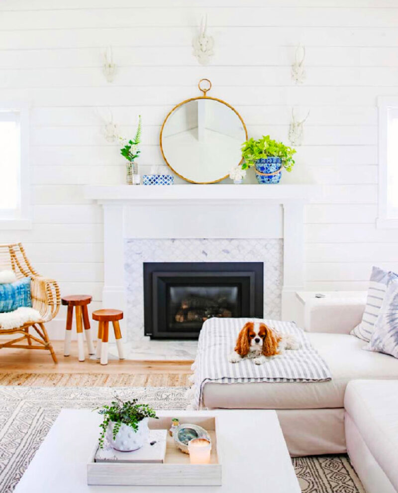 white mantel and wall with blue planter and blue box and a mirror with a white sofa and a small dog on the sofa