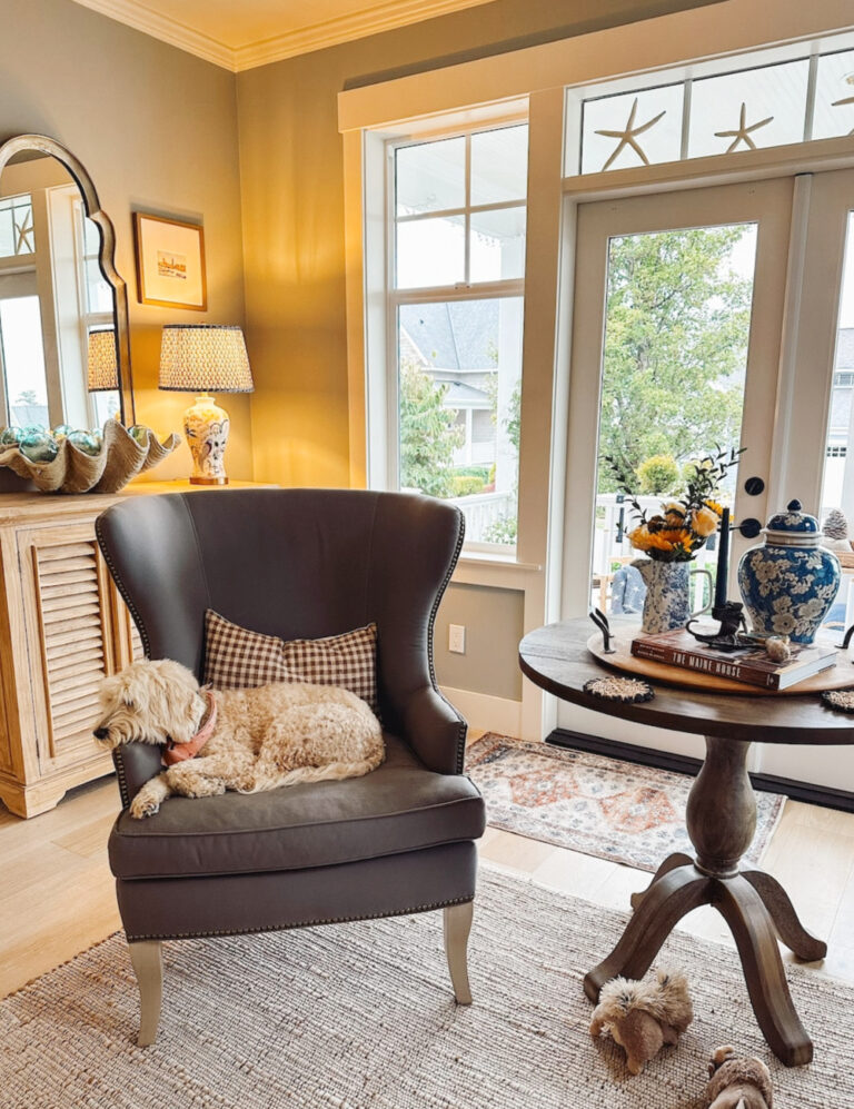 chair with dog and fall decor