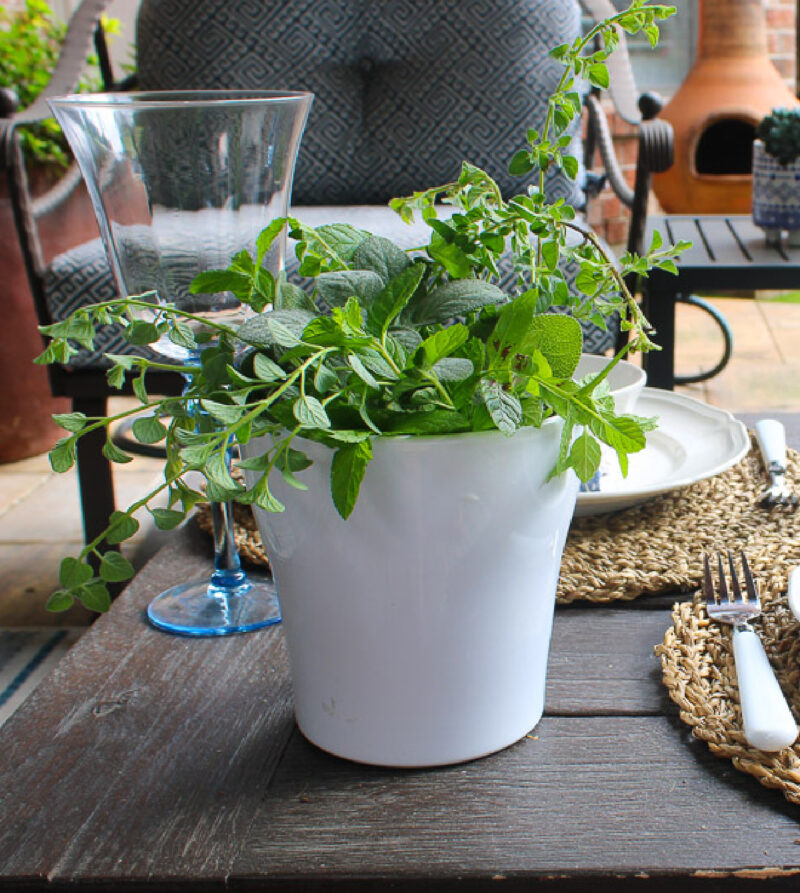 green herbs in white ceramic container