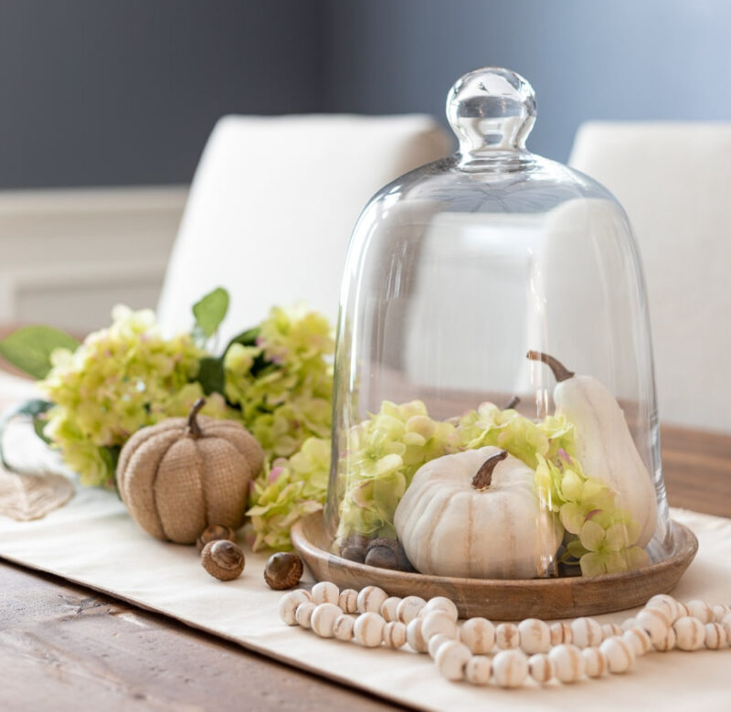 white painted pumpkins under glass