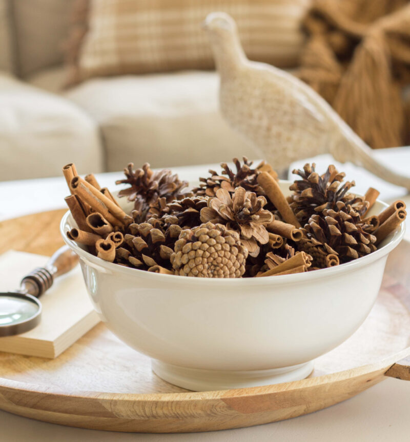 bowl of cinnamon pinecones
