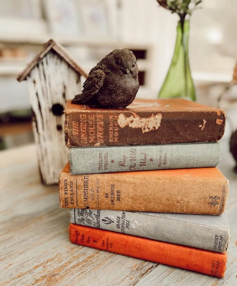 stack of vintage budget-friendly books for fall decor