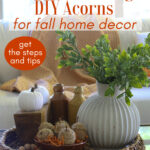 DIY faux acorn graphic