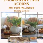 DIY faux acorn graphic