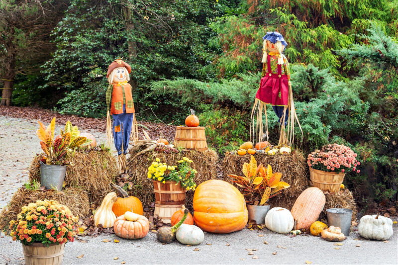 Outdoor Festive fall decor with scarecrows, pumpkins, mums and hay bales.