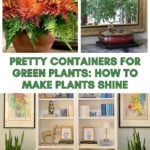 pretty containers for indoor plants