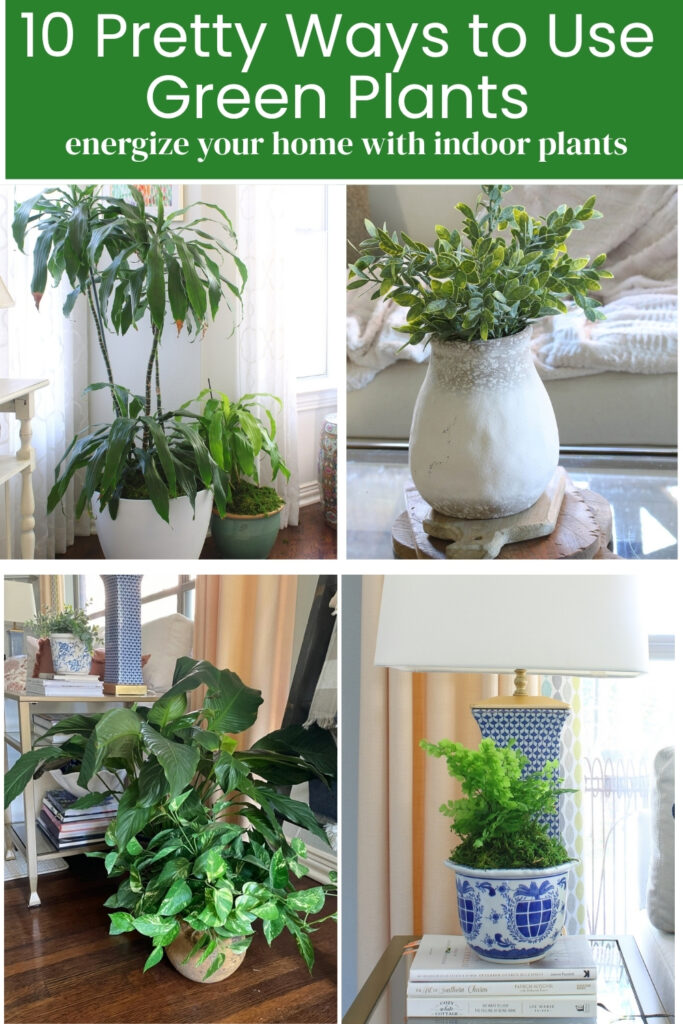 how to use indoor plants in home decor