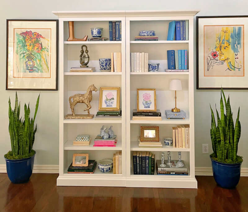 Sansavera plants on sides of bookcase