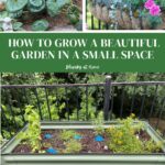 small space garden ideas