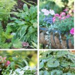 small space garden ideas