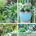 small space garden ideas