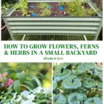 small space garden ideas