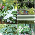 small space garden ideas